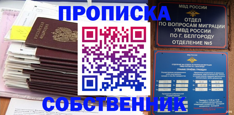 прописка законно в Шагонаре